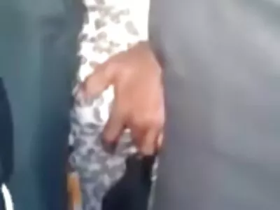 მაია უულფი მისაღებში იძირება