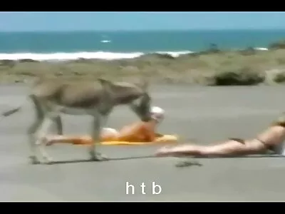 ეს წვნიანი MILF მზადაა დაიჭიროს დღეს რაღაც!